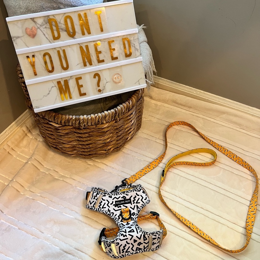 “Memphis” Adjustable dog harness set